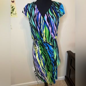 Sangria Dress Sz 10 colorful zebra tiger stripes v neck
#511
